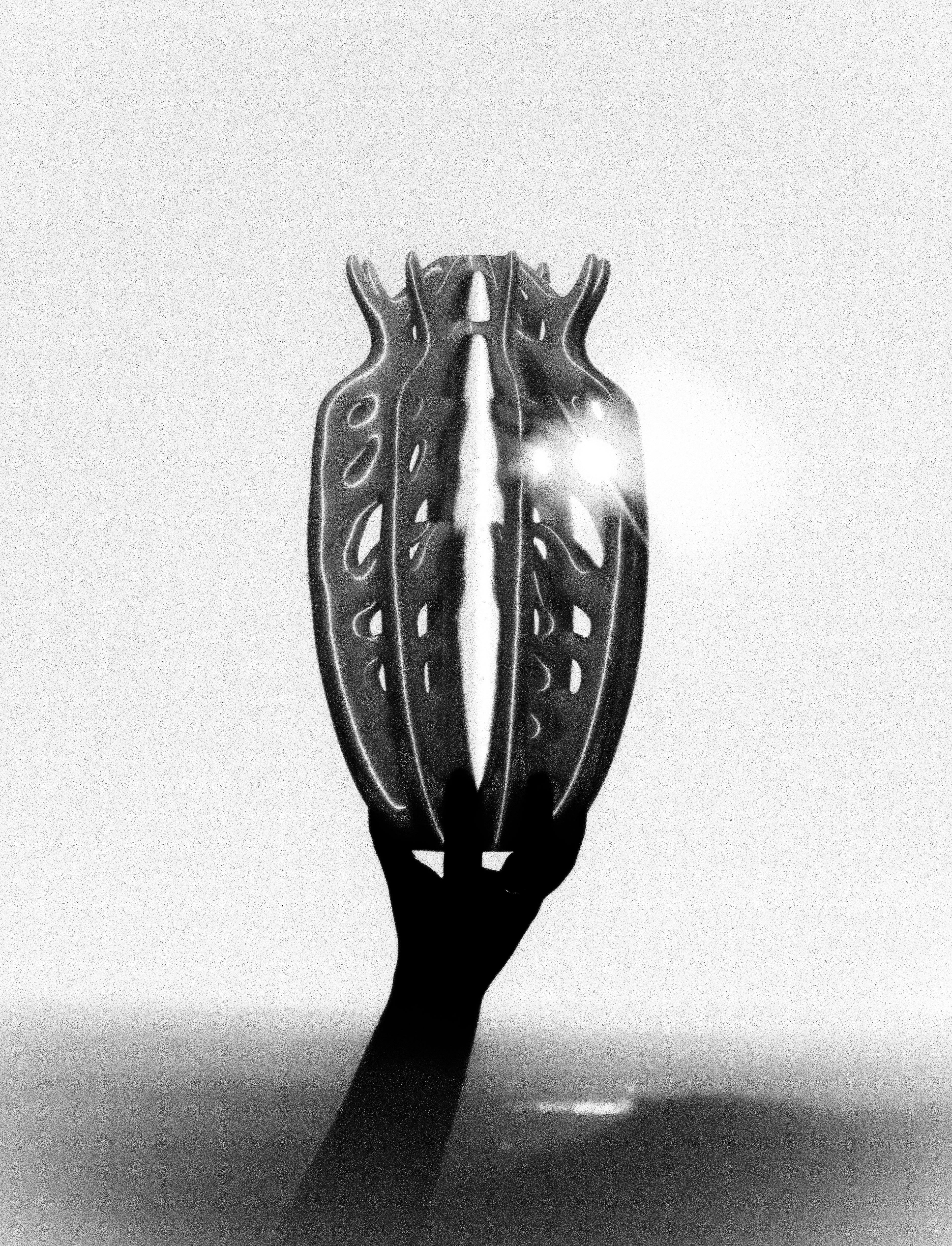 VASE OSSUAIRE