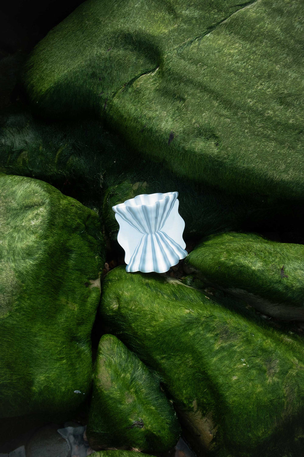 Vase Galéa
